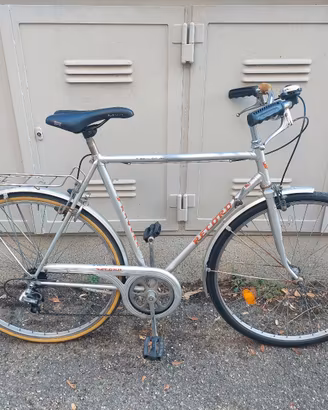 Bicicletta da uomo 