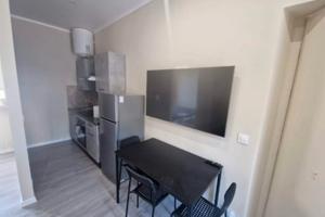 Monolocale completamente ristrutturato e arredato