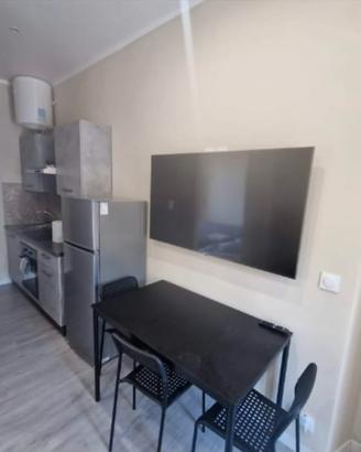 Monolocale completamente ristrutturato e arredato