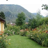 Muratore,giardiniere