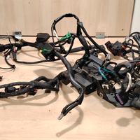 Impianto elettrico aprilia dorsoduro 1200