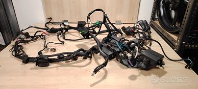 Impianto elettrico aprilia dorsoduro 1200