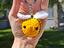 Immagine 5