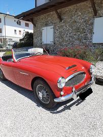 Austin Healey 100 six - 1959 (permute)