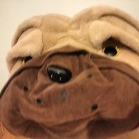 peluche cane gigante