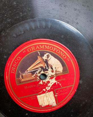 12Dischi grammofono 12