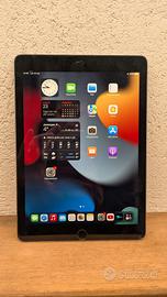 iPad Air 2