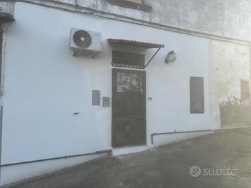 Splendido monocamera