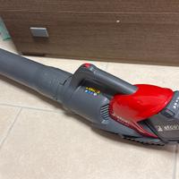 Soffiatore  professionale EFCO