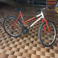 Bici 26