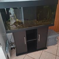Acquario Juwell Rio 180