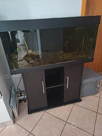 Acquario Juwell Rio 180