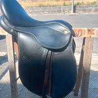 sella winner come nuova 