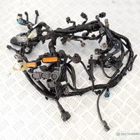 Impianto Elettrico Principale Kawasaki Z900 2017–2