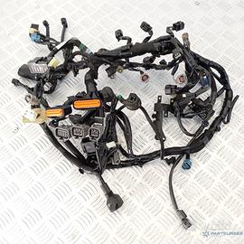 Impianto Elettrico Principale Kawasaki Z900 2017–2