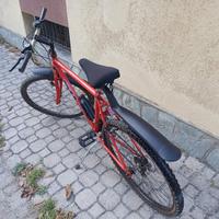 bicicletta mountain bike