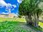 Immagine 25