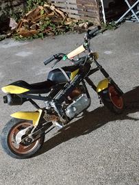 Minimoto