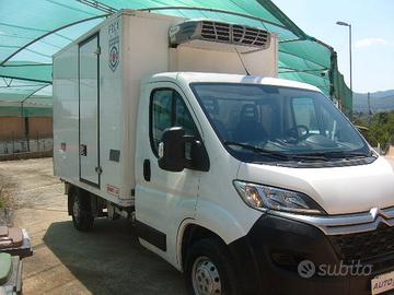 Citroen cella frigo - 20 gradi