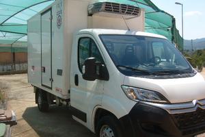 Citroen cella frigo - 20 gradi