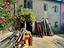 Immagine 28