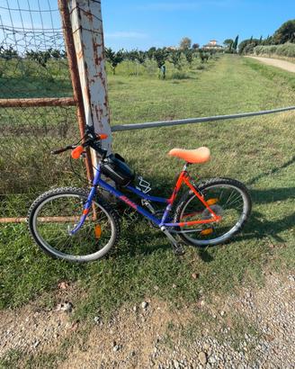 Bici Atala donna