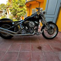 scarichi softail 