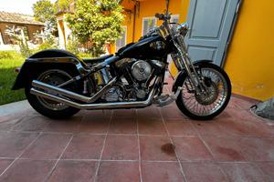 scarichi softail 