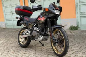 Honda Dominator