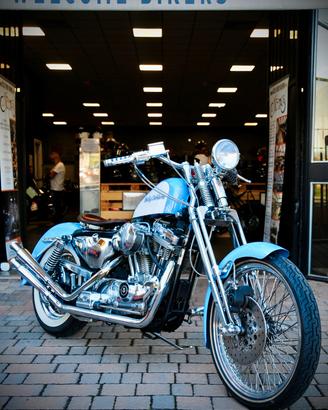 Harley-davidson 883 Sportster XL SPRINGER