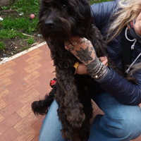 Bruno 9 kg di simpatia