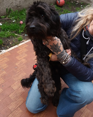 Bruno 9 kg di simpatia