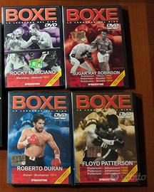 lotto boxe pugilato 