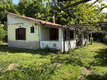 Villetta ad Allumiere