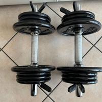 Coppia Manubri Palestra 24 KG