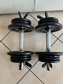 Coppia Manubri Palestra 24 KG