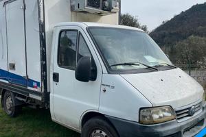 Furgone fiat ducato frigo 2004