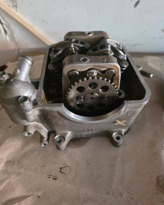 testata sh 300 2007 2015
