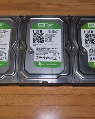3x HardDisk 1TB WesternDigital (WD10EZRX)