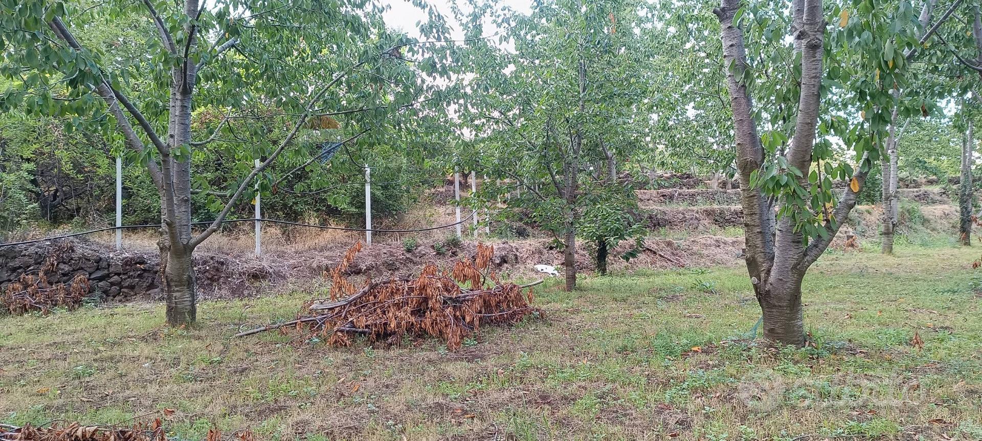Terreno - Sant'Alfio - Vista 4