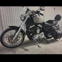 Harley davidson sposter 1200xl