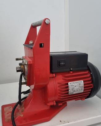 Tritacarne professionale Giordano