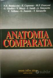Anatomia comparata