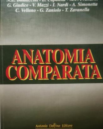 Anatomia comparata