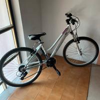 Bicicletta Esperia modello Enjoy 24