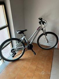 Bicicletta Esperia modello Enjoy 24