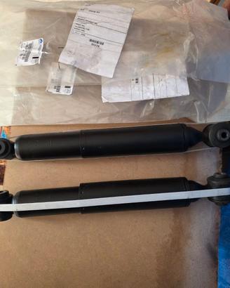 Ammortizzatori Posteriori Citroen C4 Cactus 2018