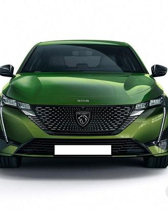 Peugeot 3008 2021 er ricambi