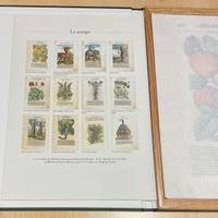 I discorsi di Mattioli