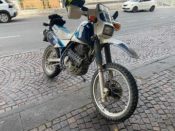 Suzuki DR600 Djebel